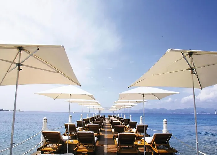 Bessons Cannes